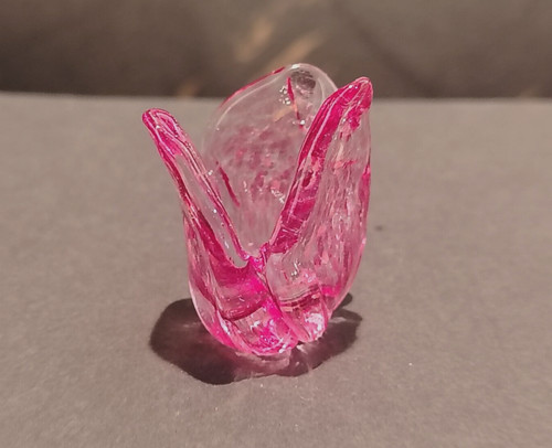 Fleur tulipe verre de - fleur,