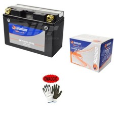 Pour Italjet Millenium 2T 100