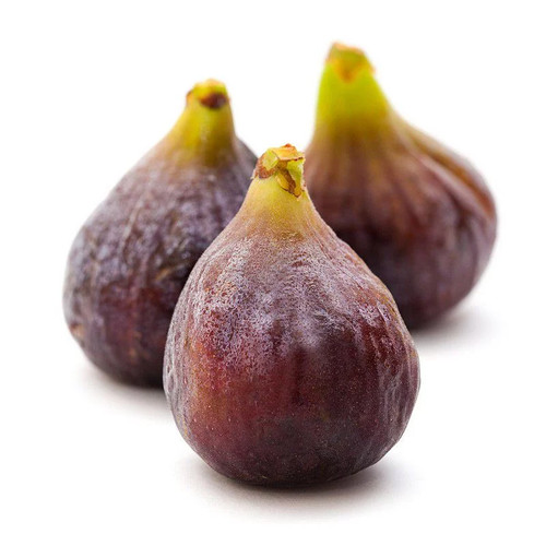 Ficus carica violette - ficus,