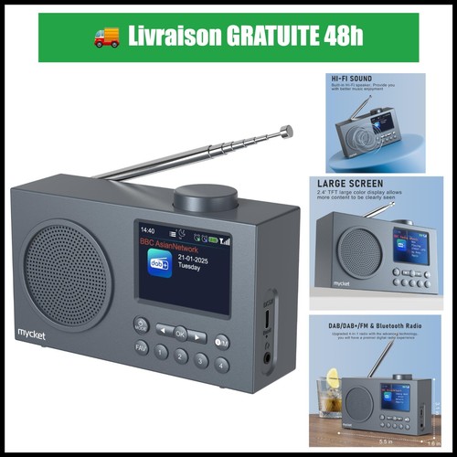 Radio portable dab - dab+, fm