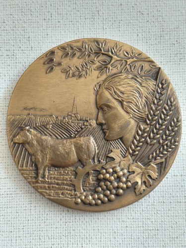 Médaille chambre - médaille,