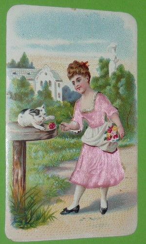 Chromo 1890 1914 - 1890-1914, chocolat