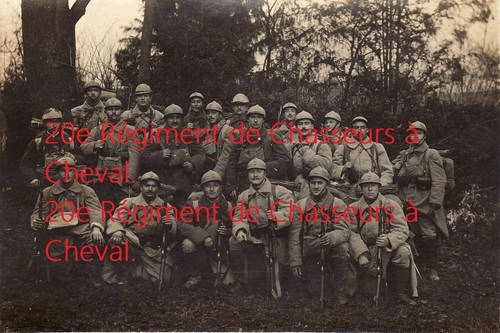 20e chasseur cheval vendome - cheval,