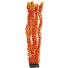 Superfish Facile Plantes 60cm XL Auto Coulantes pour Aquarium Déco