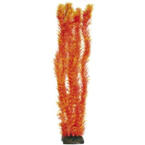 Superfish facile plantes - facile,