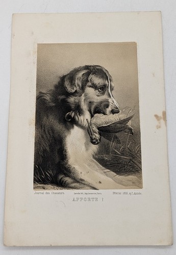Laroche engraving bringes - laroche,