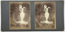 Nature morte Vase Photo c1890 Stereo Vintage Citrate
