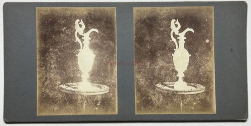 Nature morte vase - morte, c1890