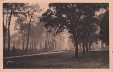 40 VIELLES SAINT GIRONS ROUTE