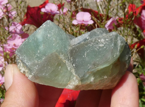 Top fluorite vert 6x4cm - fluorite,
