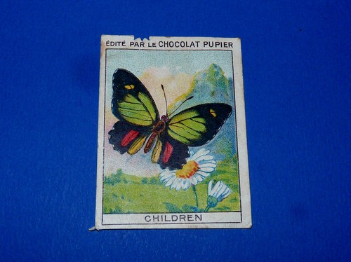 Papillons children chromo - children,