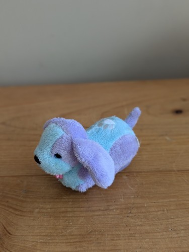 Zhu pets puppy - pets,