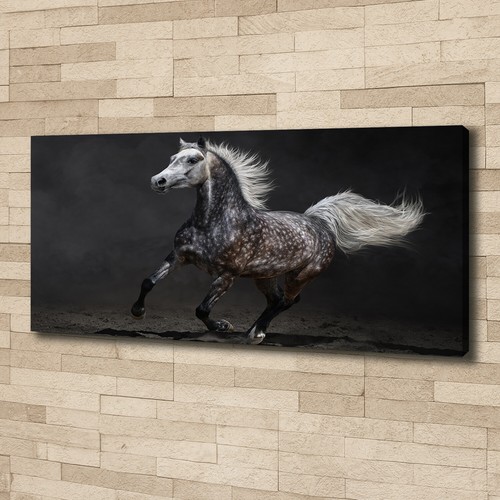 Tulup image sur toile tableau - toile,