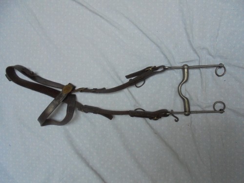Montant bride cheval de - cheval,