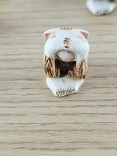 Rare animal ancien en