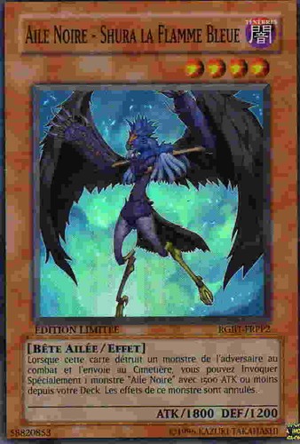 Aile noire shura la - -,
