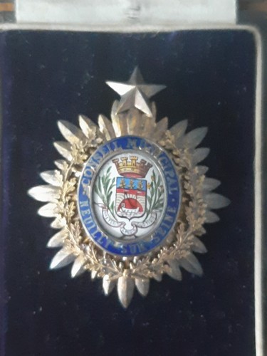 Insigne fonction conseil - fonction,
