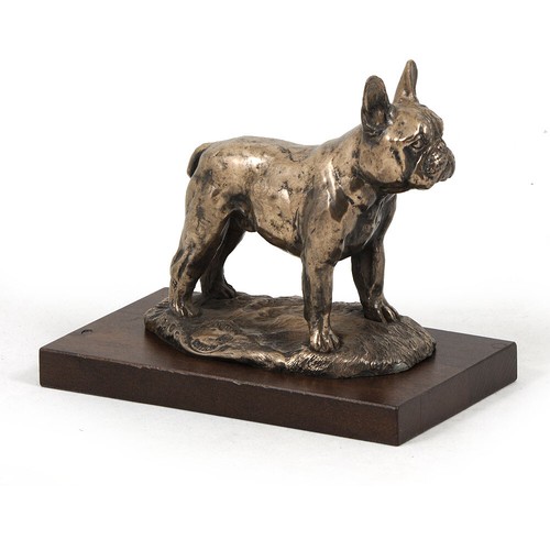 Bouledogue français - , iv