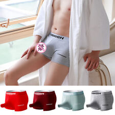 Boxer En Coton Extensible Pour