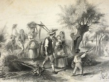 Faneuses VICTOR COINDRE