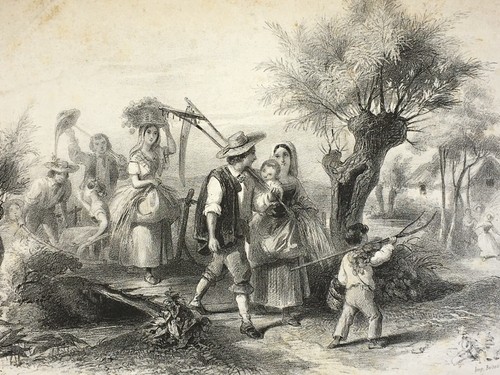 Faneuses victor coindre - faneuses,