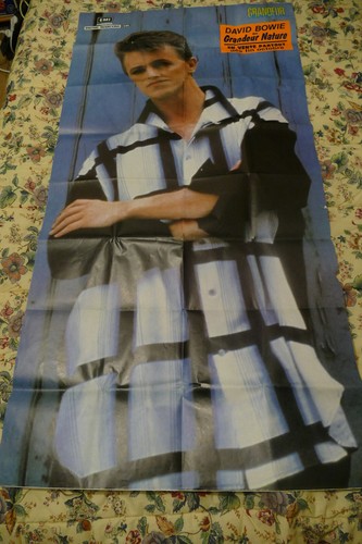 Affiche rock 1980 david - affiche,