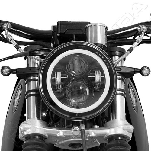 Barracuda phare avant dragon - phare,