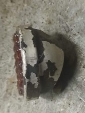 # catadioptre terrot magnat debon 100 MT1 MTR MTK  1952 et 125 etd etm    2 vis