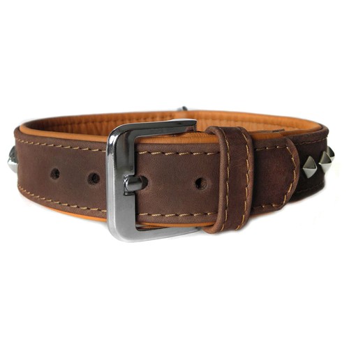 Das lederband laisse cuir - das, pour