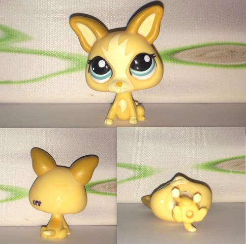Littlest petshop 1656 - , tan
