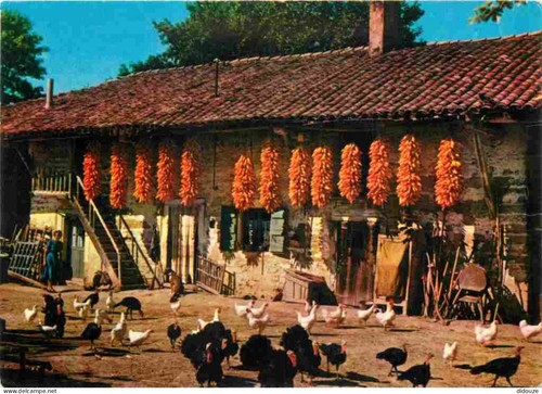Carte postale ain - -,