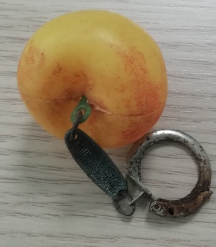 Porte cle ancien envions - cle,