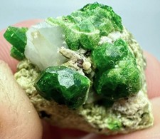 cristaux de grenat démantoïde  sur matrice /6,62 grs