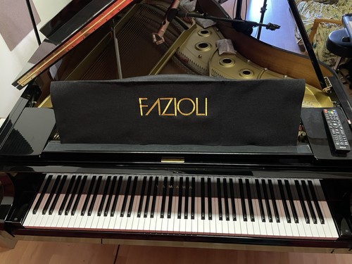 Fazioli grand piano music - fazioli,