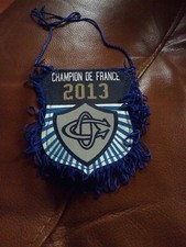 FANION   RUGBY CASTRES OLYMPIQUE CHAMPION DE FRANCE 2013 , NEUF ENVOI GRATUIT 