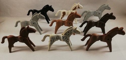 Sympa cheval 1ere - sympa,