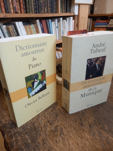 Lot livres dictionnaire - lot,