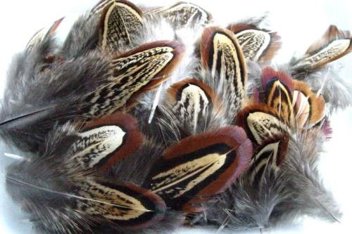 Plume flanc faisan - plume,