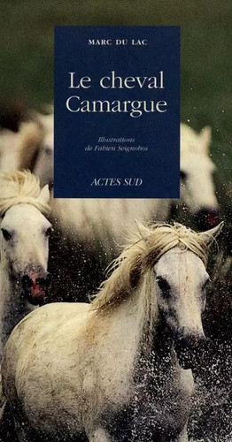 Cheval camargue marc du - le,