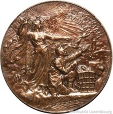 W6266 Médaille Ad Patriam