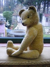 Rapfael très ancien ours