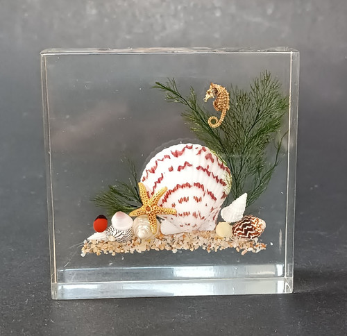 **Presse papier en lucite
