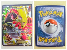 Carte Pokémon Groudon EX