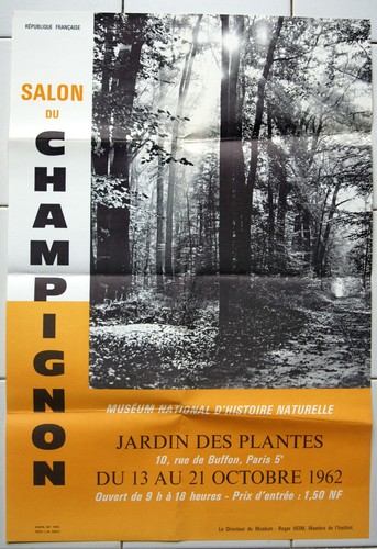 Affiche ancienne salon - affiche,