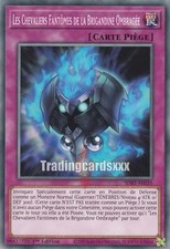 Yu-Gi-Oh! Les Chevaliers Fantômes de la Brigandine Ombragée : C SDBT-FR035