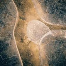 JARUN - rok spokojnego soca - CD