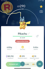 Pikachu Lucario Hat Costume