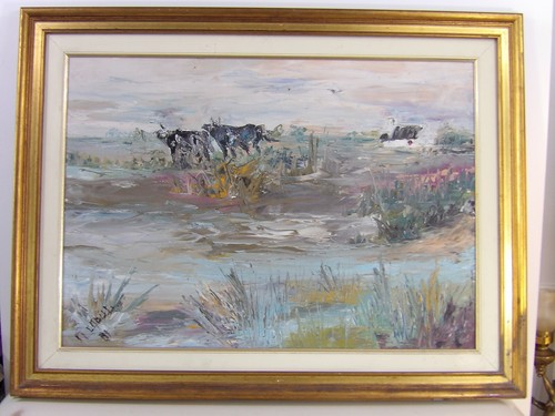 Camargue taureaux marais - la,