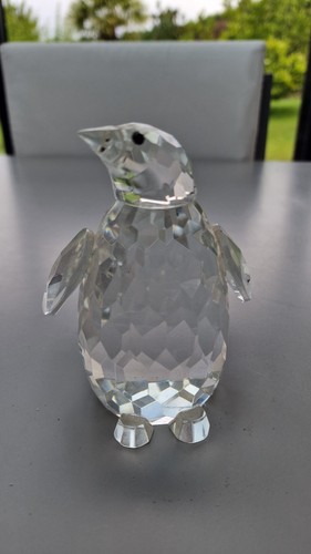Pingouin manchot verre - manchot, en