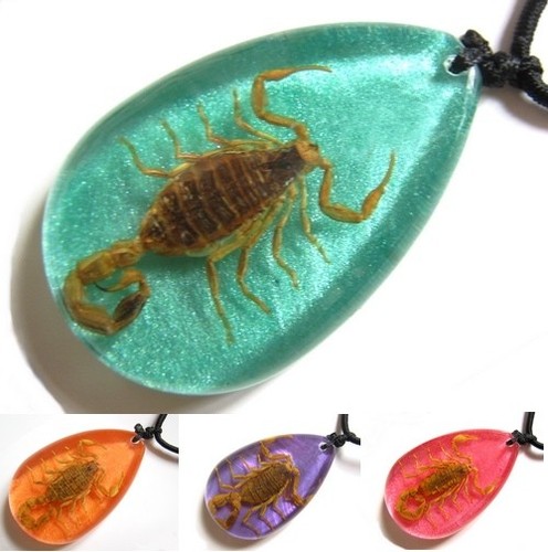 Pendentif véritable scorpion - pendentif,